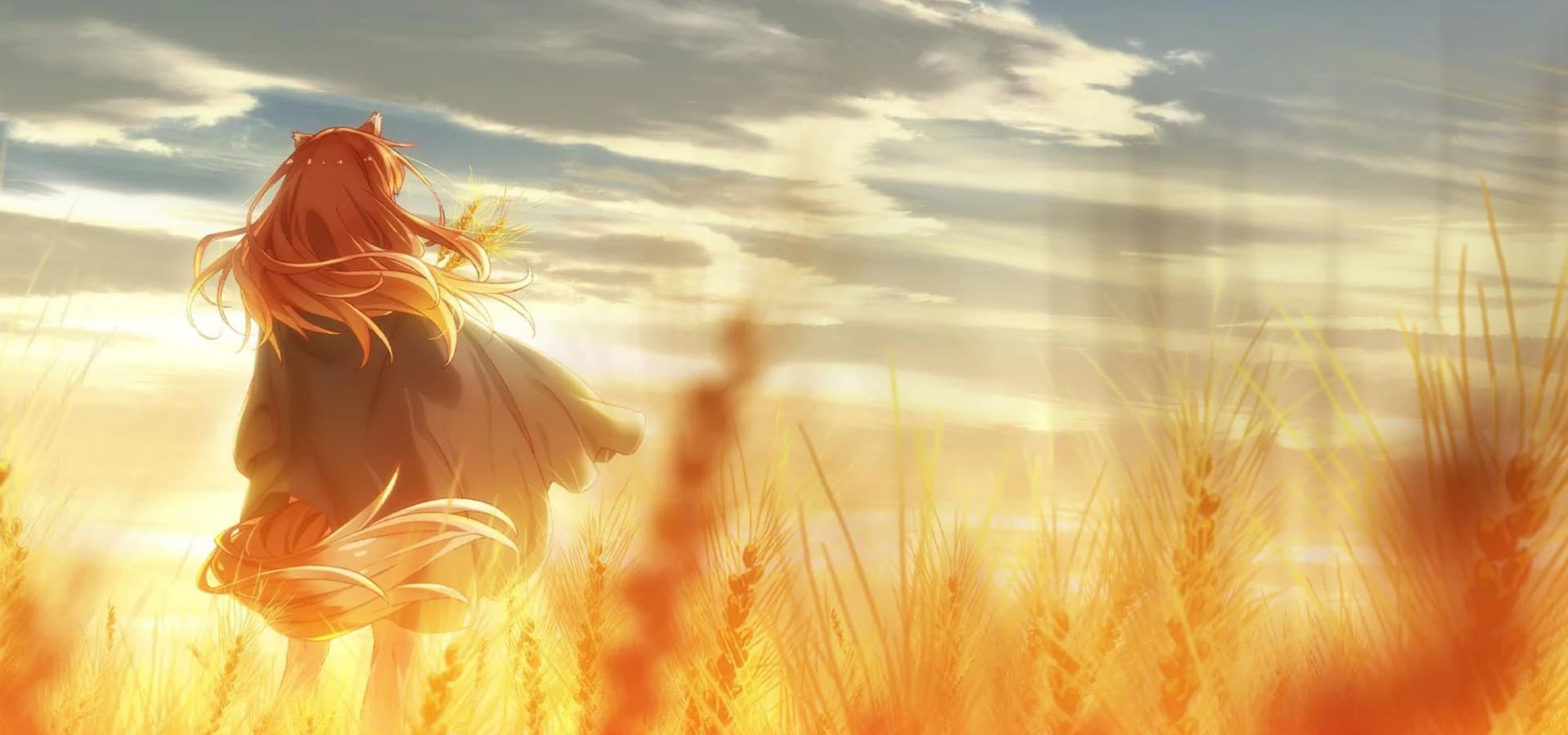 دانلود انیمه Spice and Wolf: Merchant Meets the Wise Wolf ادویه و گرگ: تاجر با گرگ دانا آشنا میشود