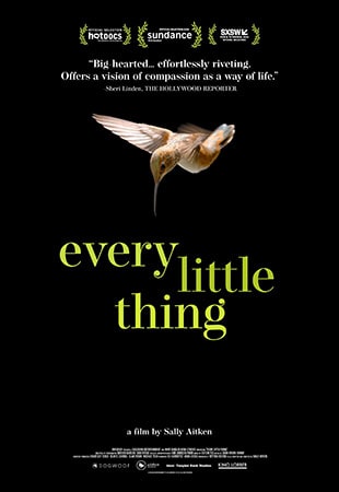 دانلود مستند Every Little Thing 2024 تمام چیزهای کوچک دانلود مستند Every Little Thing 2024 تمام چیزهای کوچک